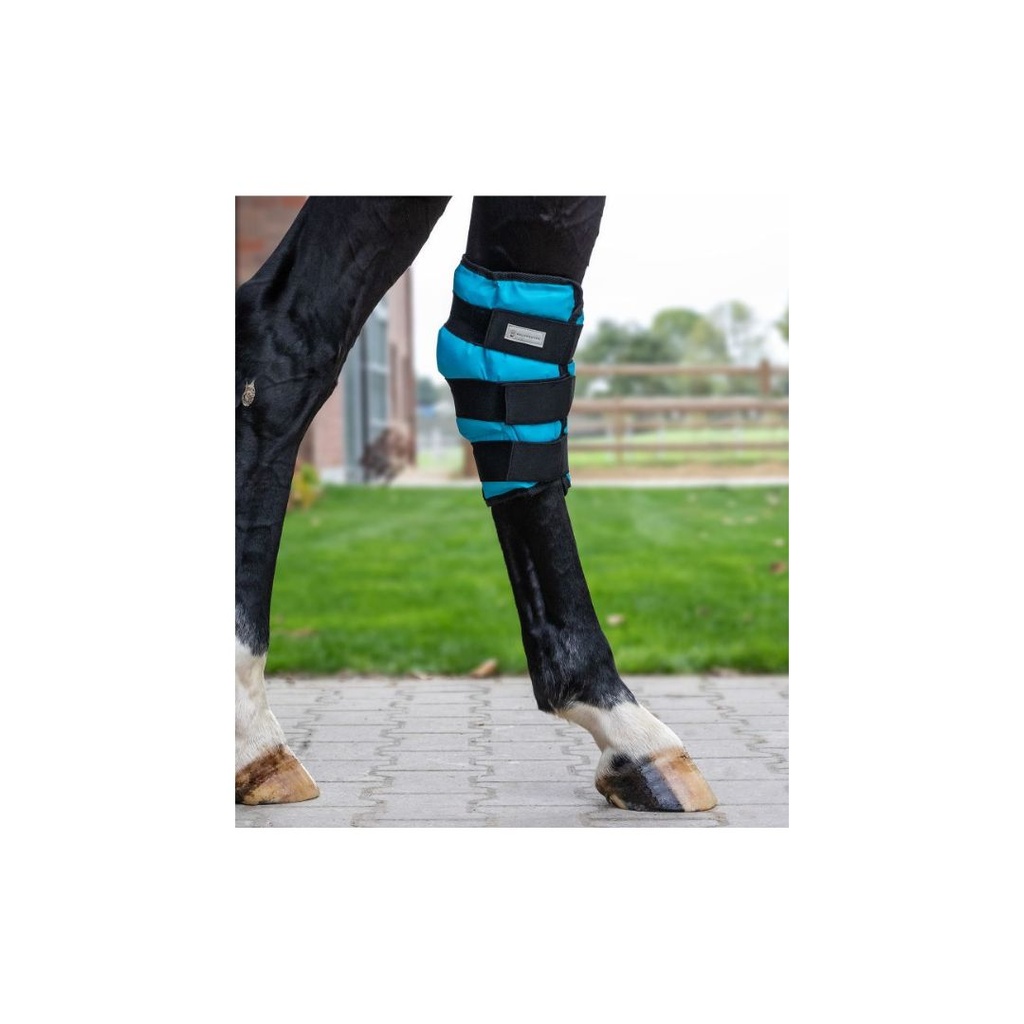 Ijsbandage achterbenen