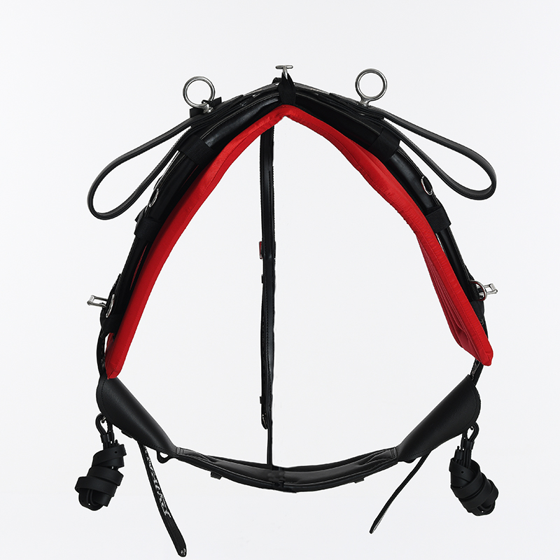 harnais  twisted tradi kit