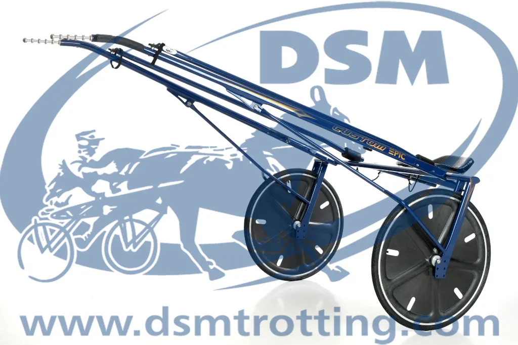 26DSM0039.webp
