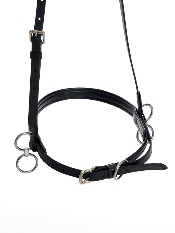 head halter beta Xtreme