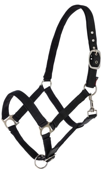 dexter halter black 