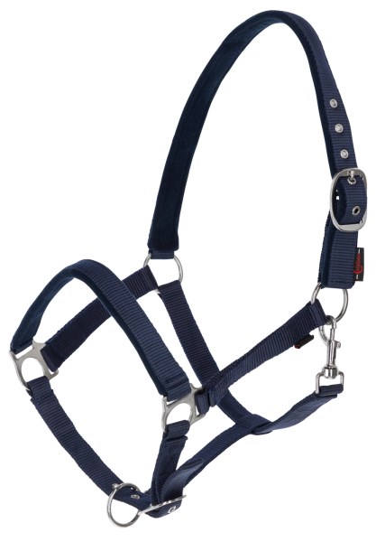 licol dexter bleu marine