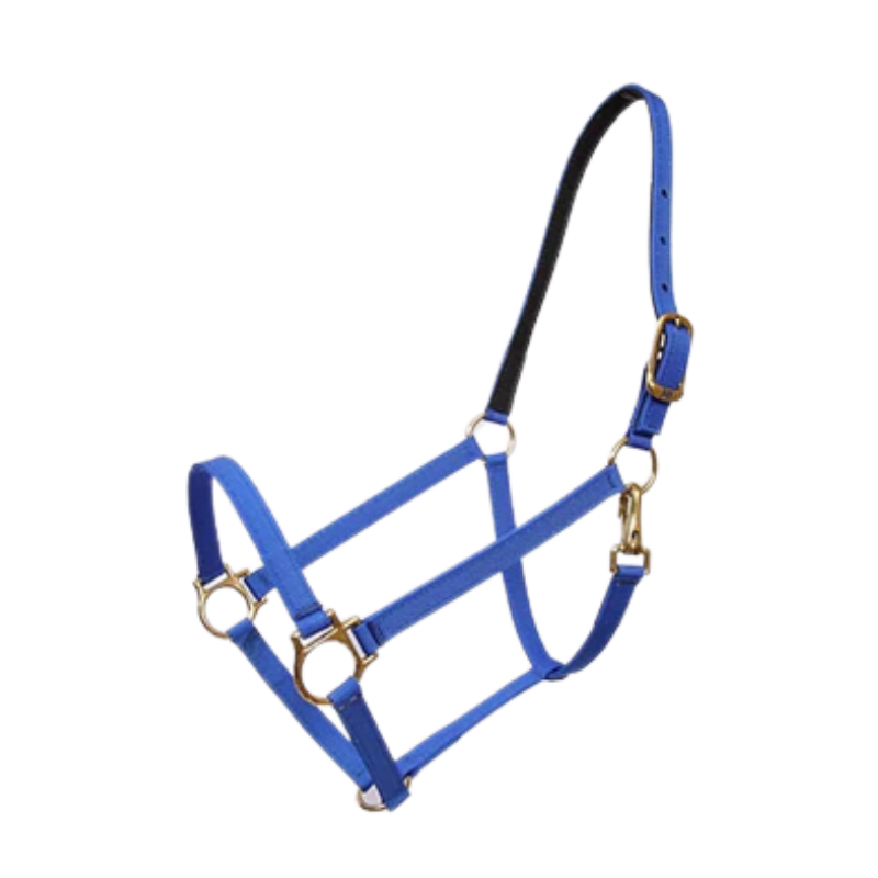 halter Equestrian Xtreme
