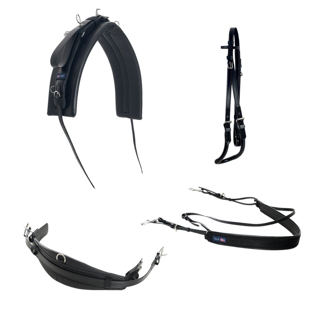 harnais Mast traditionnel KIT