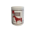 R-BCAA  900 gram