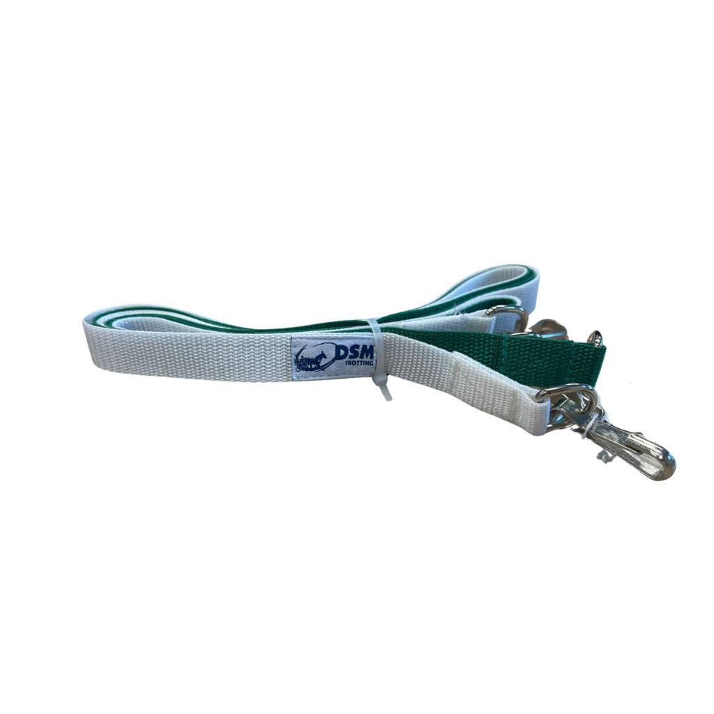 straps DSM for automatic overcheck 