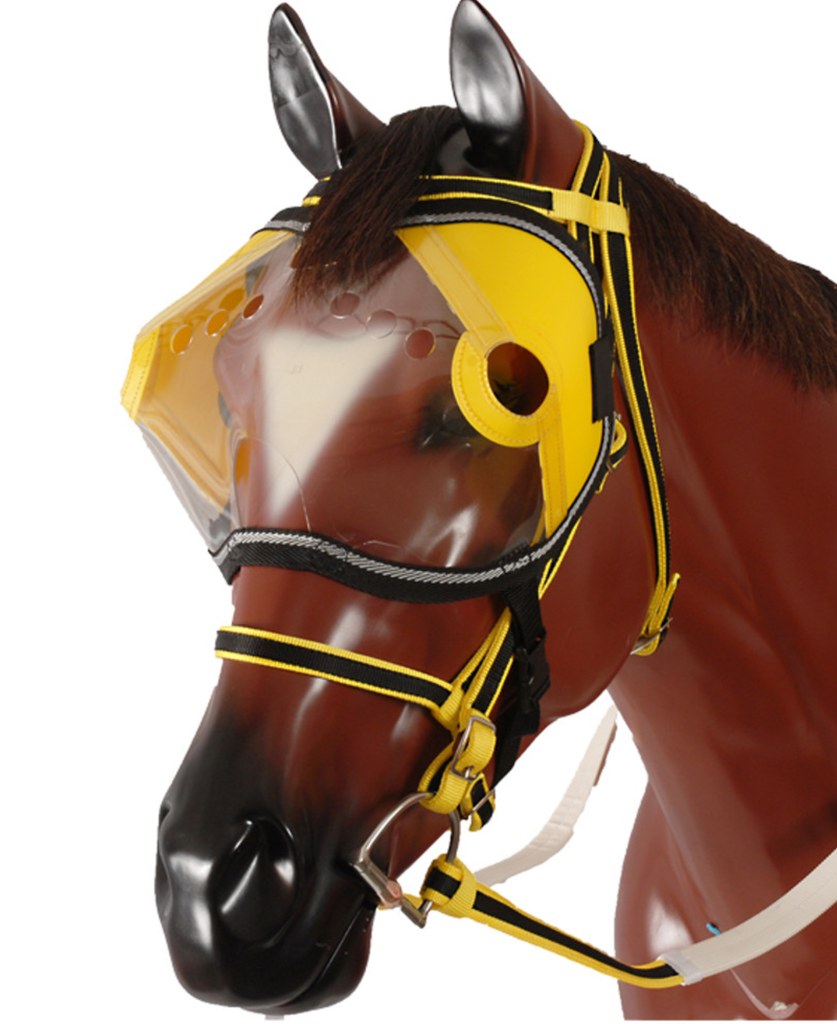 Equivizor racing mask