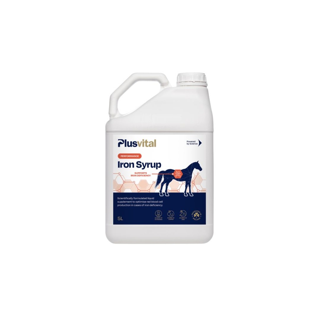 Iron syrup  Plusvital