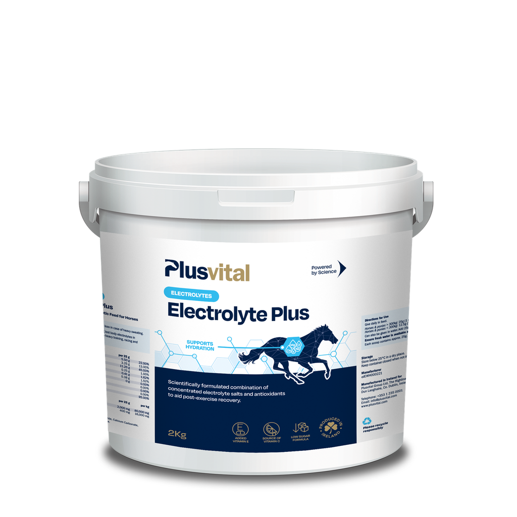 Electrolyte plus  2KG Plusvital
