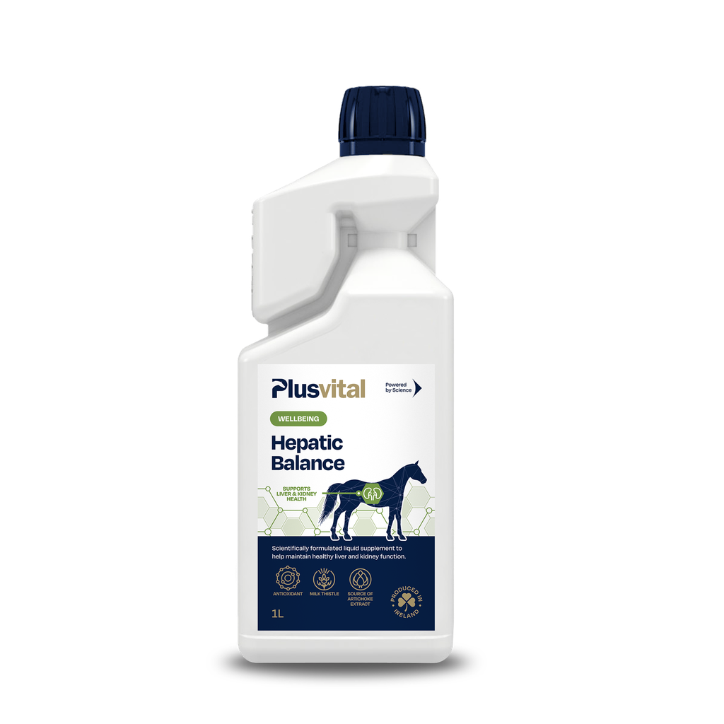 Hepatic Balance 1 L  Plusvital