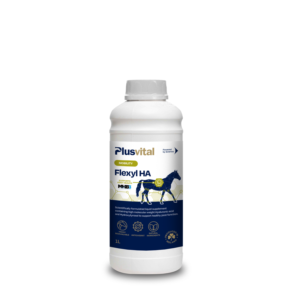 Flexyl HA 1 L Plusvital