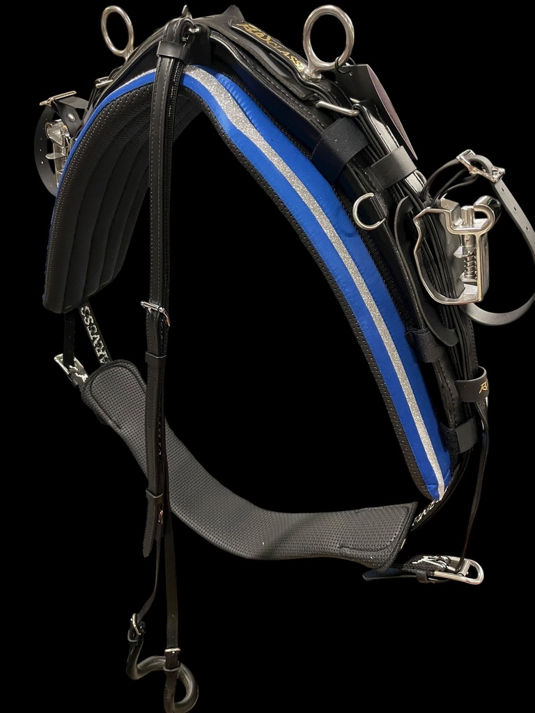 [444] Harness kit RW QH