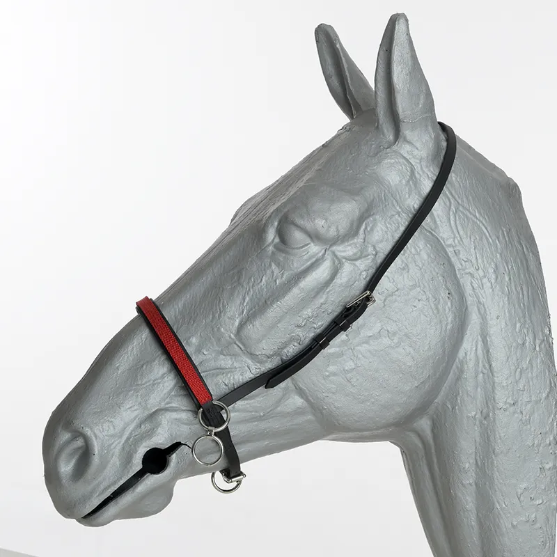 head halter beta Xtreme kleur
