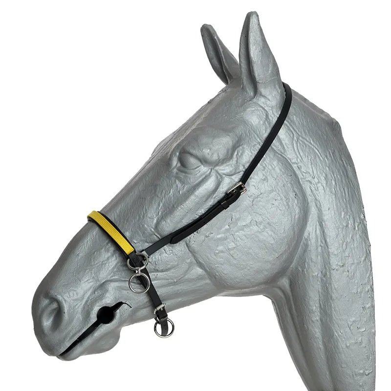 head halter beta Xtreme kleur