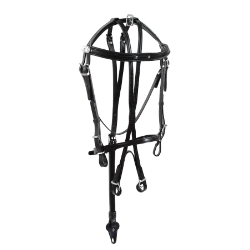 [HAKPS180] bridle open leather