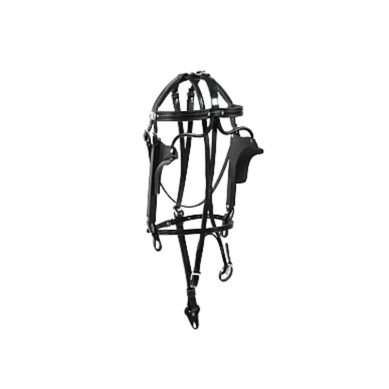 bridle in leather KSB