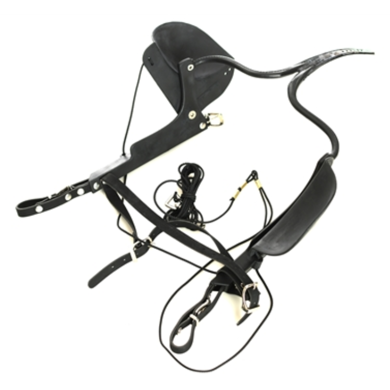 [251] blinds pull down Racing Tack 