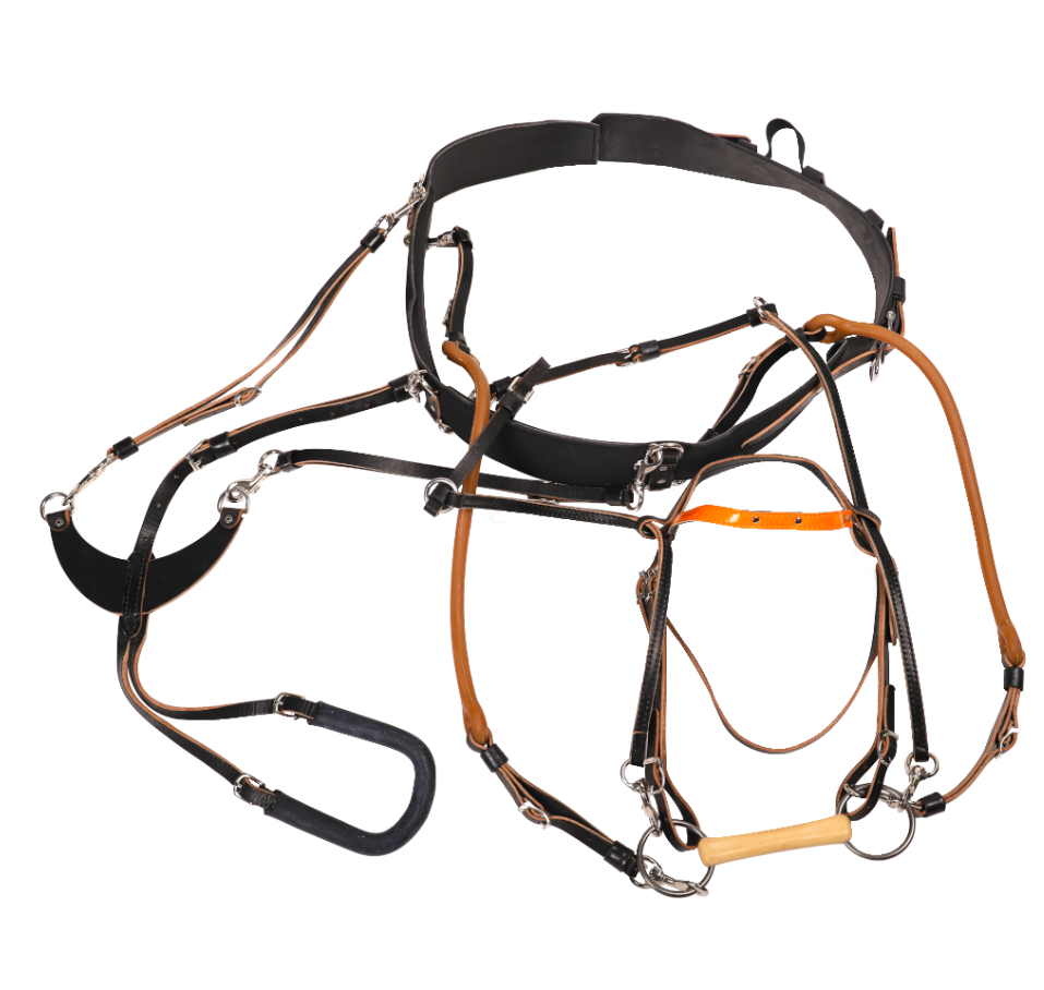 [TAHAR260] harness for foals RT