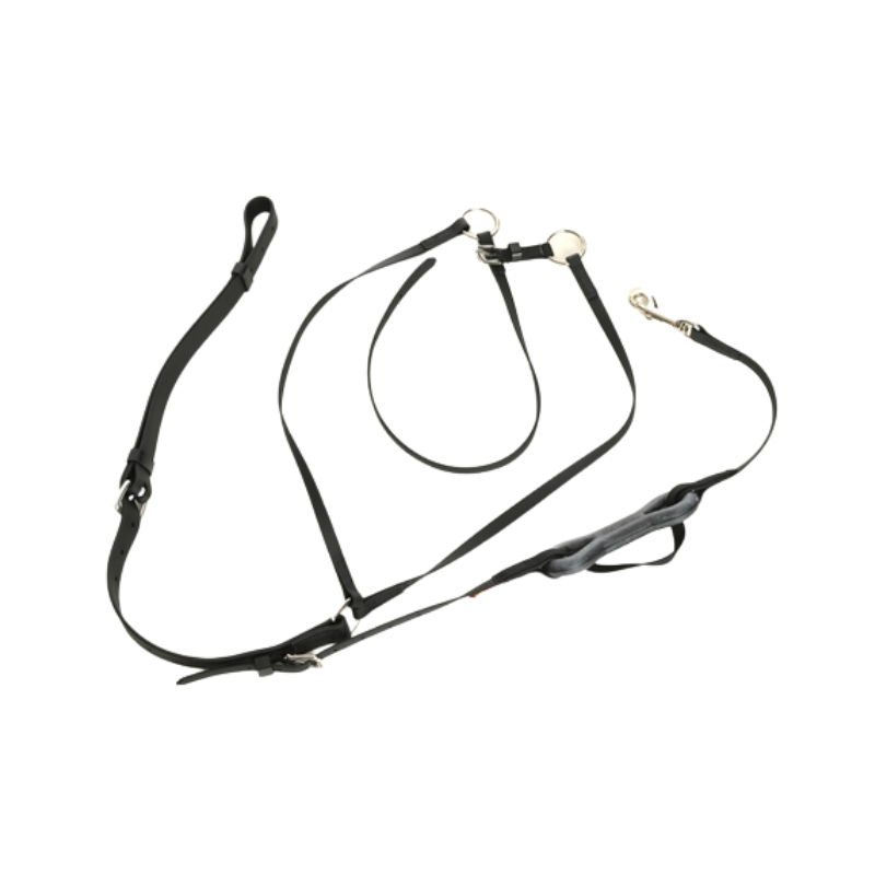[TAMAR1348DSM] martingale combinée Mast