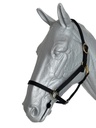 halter Equestrian Ohio