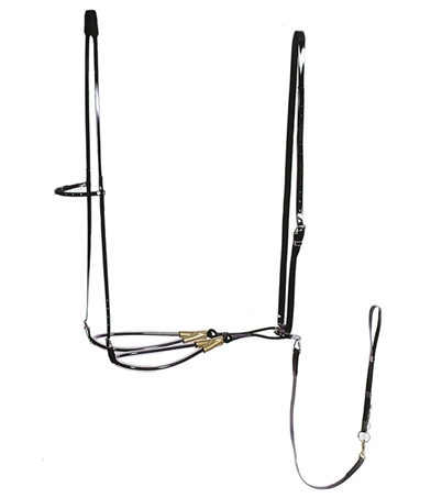 hobbels Trotmaster I