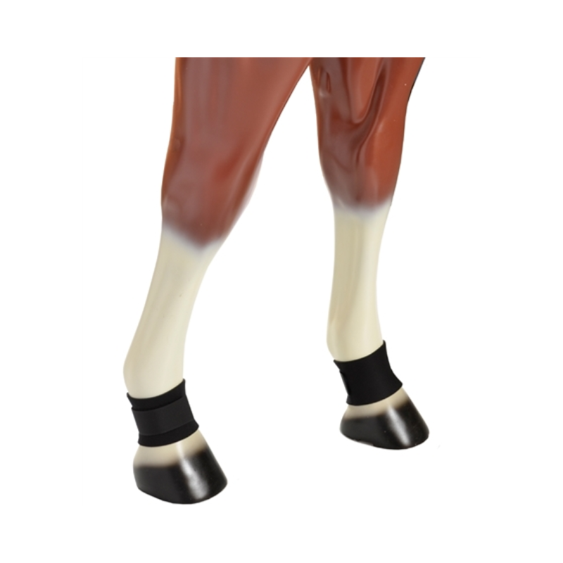 [BBCLOEHL080] pastern boots