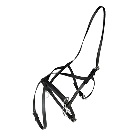 [HAMSR11818] licol pour barre de tête + muserole