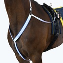 buxton breast collar DSM multicolor