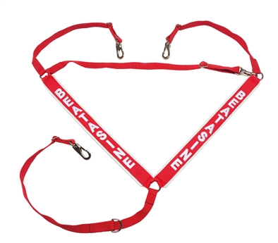 collier 3 points DSM avec nom 