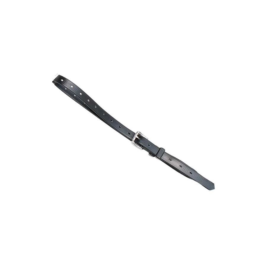 courroie d'enrênement RT