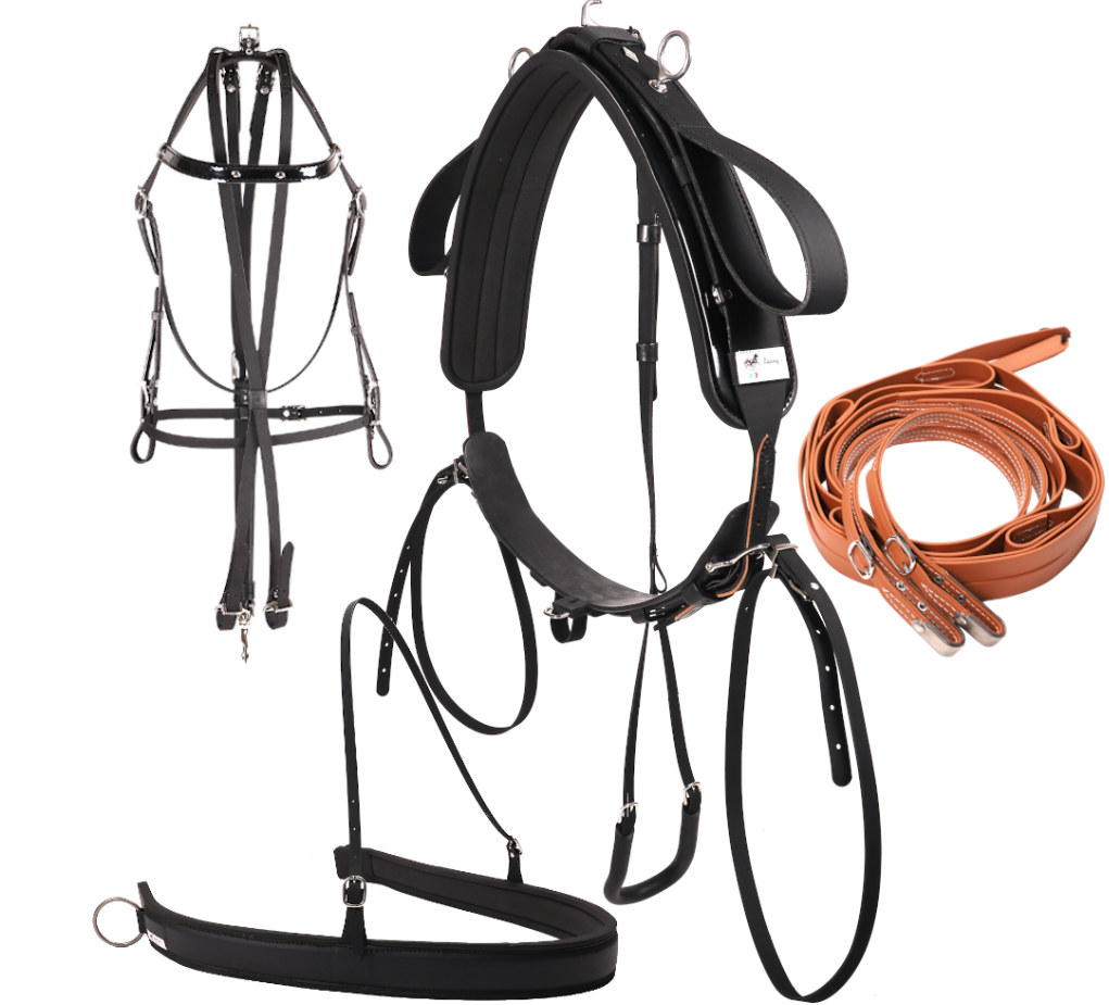 harness synth tradi Racing Tack complete