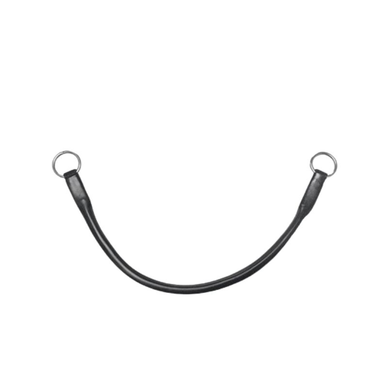 lasso DSM