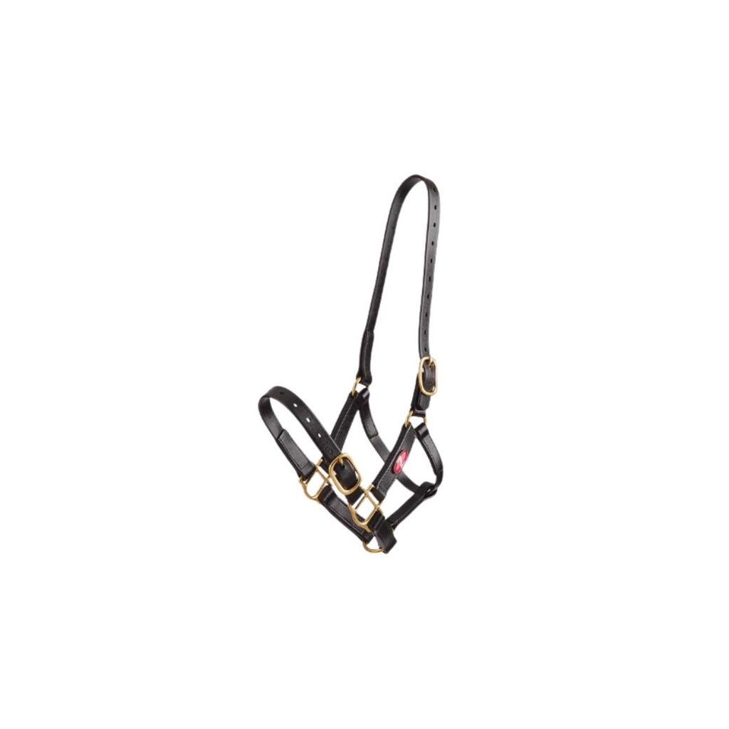 [544581] halter Zilco 1 inch wide (01 - black)