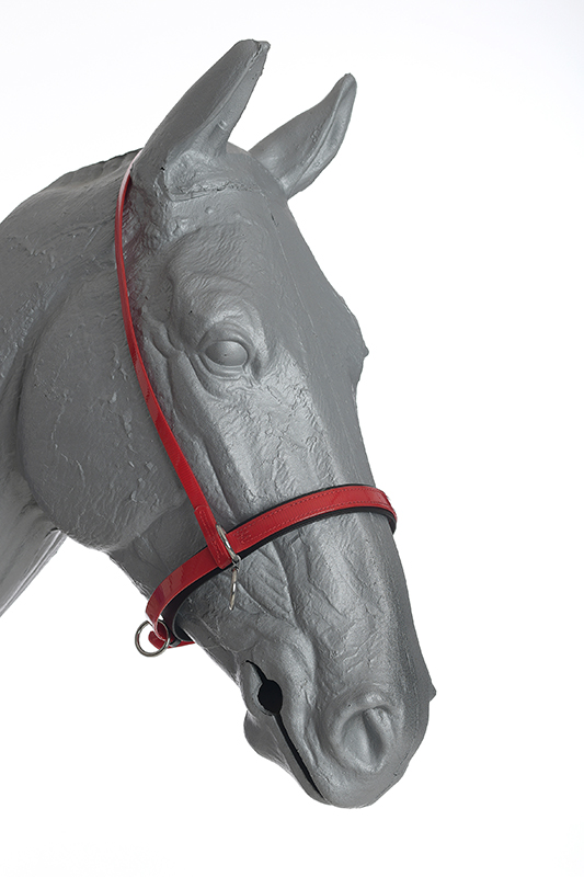 head halter 5 ring beta