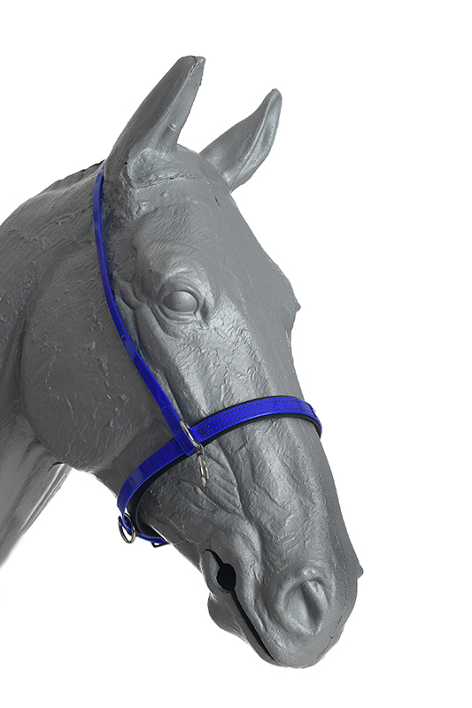 head halter 5 ring beta