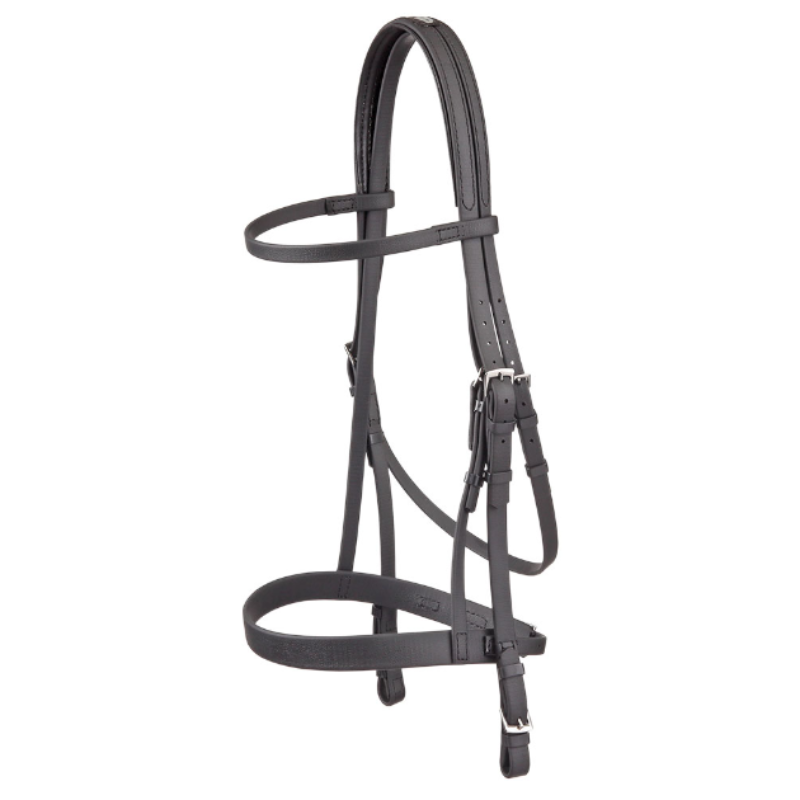 hoofdstel galop + halter kompleet