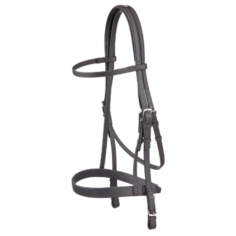 open bridle  + halter for galop