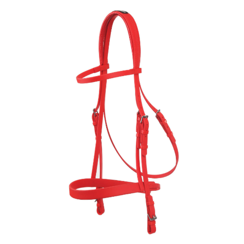 jeu de bride + petit licol galop