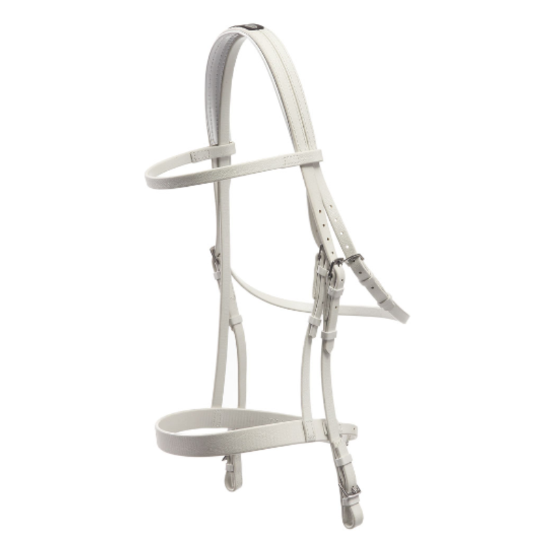 open bridle + halter for galop