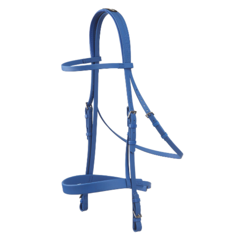 open bridle + halter for galop