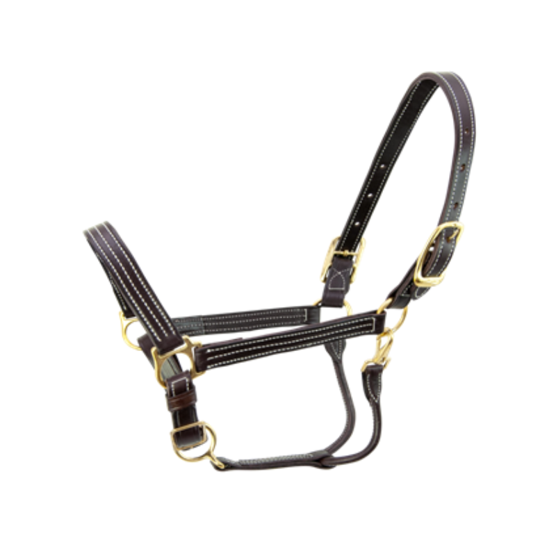 stalband leder DSM