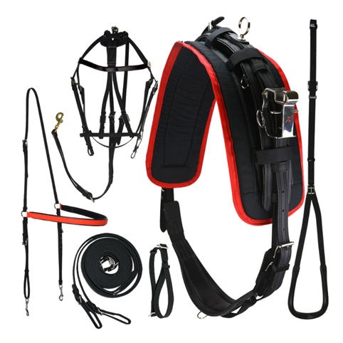 harnais complet eXtreme QH 