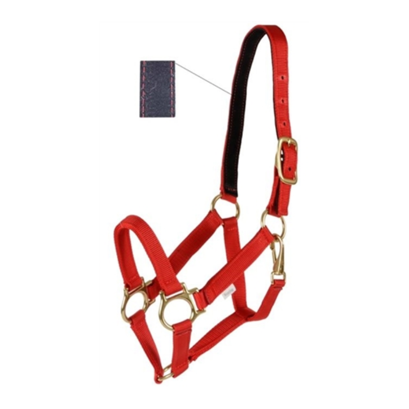 halter Equestrian Jack's