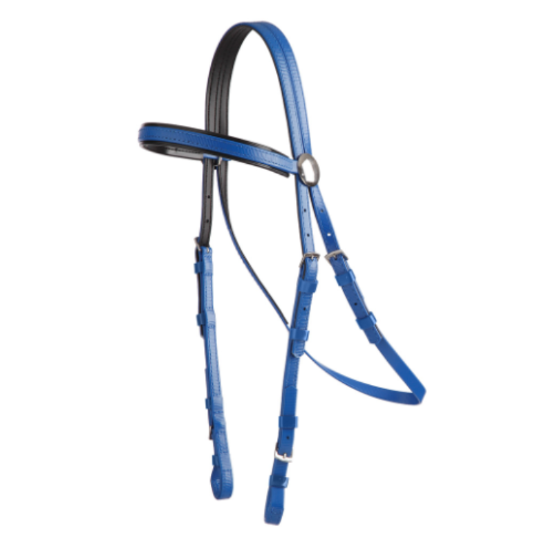 open bridle for galop