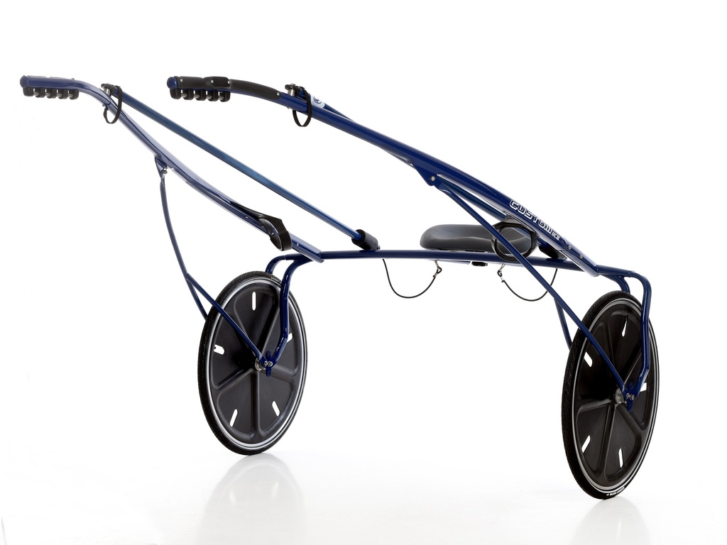 Multicarbon 4 - with 2 FMT wheels