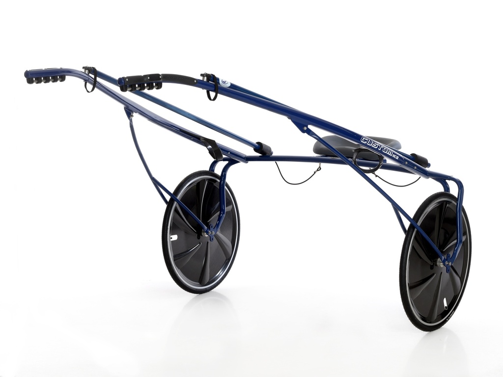 Multicarbon 4 with carbon wheels