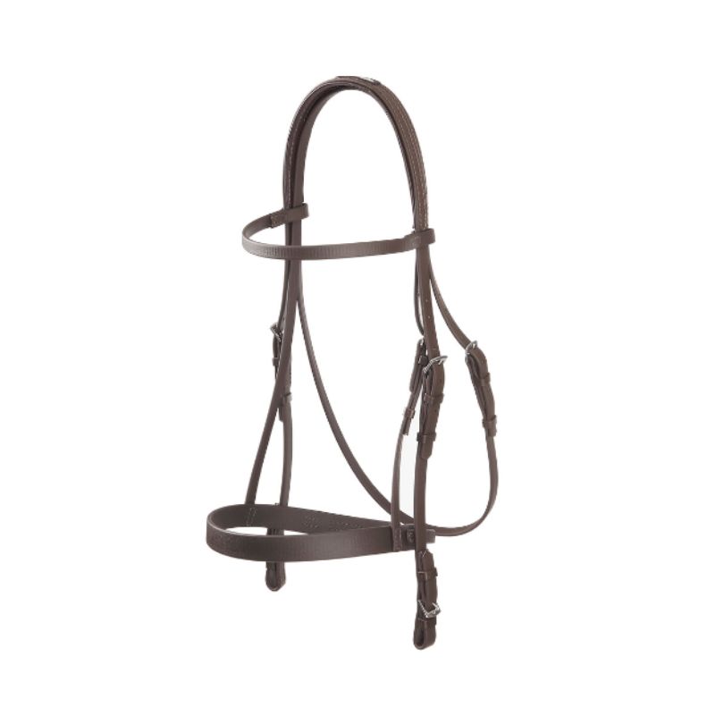 jeu de bride + petit licol galop