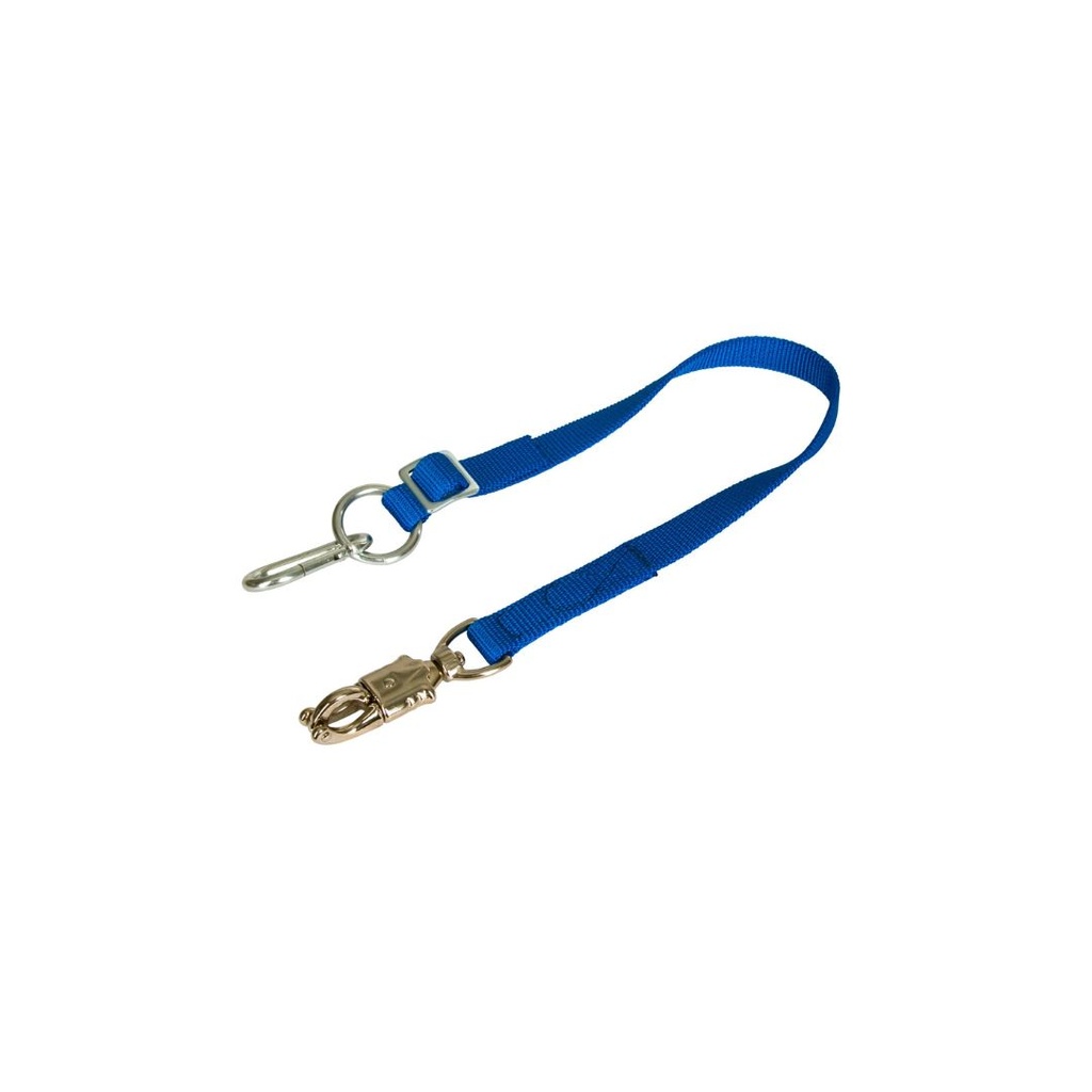 longe d'attache pour van