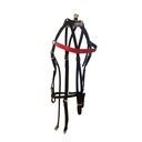 bridle synthetic RT