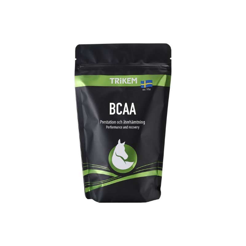 BCAA 500g